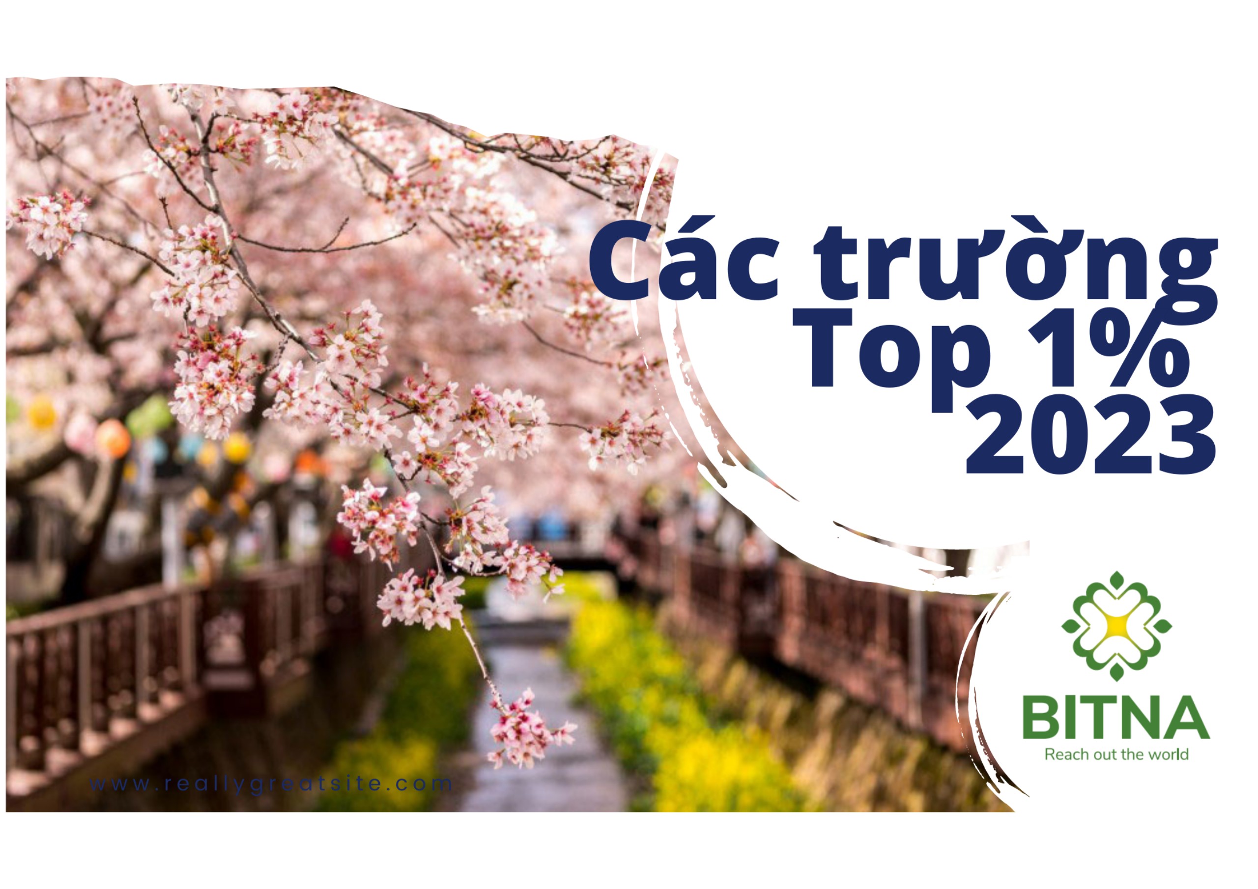 [MỚI NHẤT] CÁC TRƯỜNG TOP 1% HÀN QUỐC [2023]